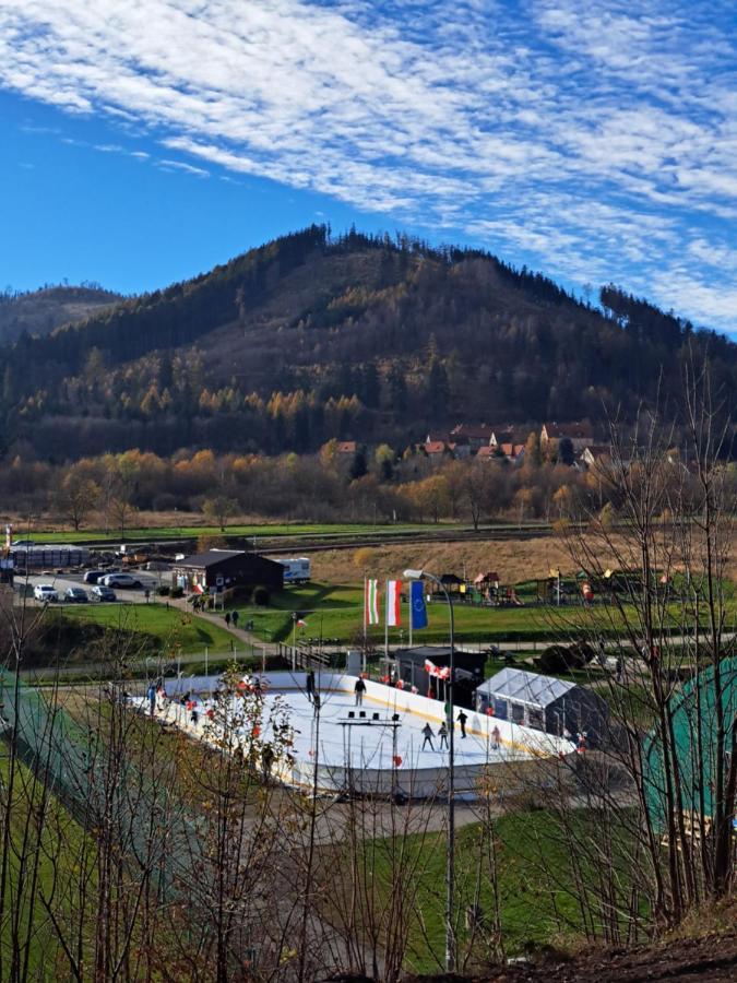 Apartament Góry Sowie Jedlina-Zdroj Exterior foto