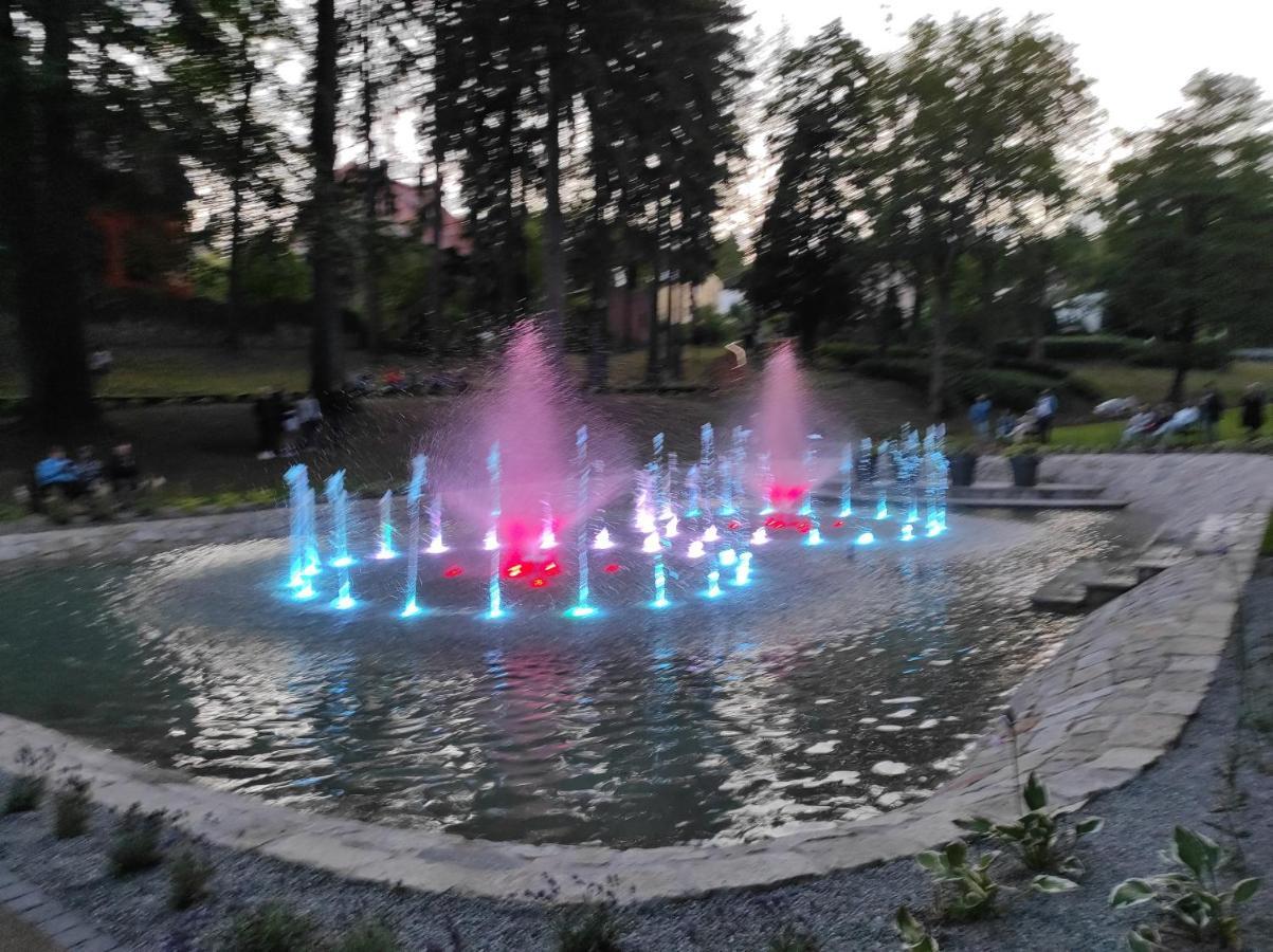 Apartament Góry Sowie Jedlina-Zdroj Exterior foto